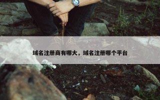 域名注册商有哪大，域名注册哪个平台