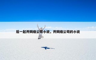 后一起开网络公司小说，开网络公司的小说