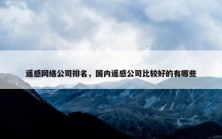 遥感网络公司排名，国内遥感公司比较好的有哪些
