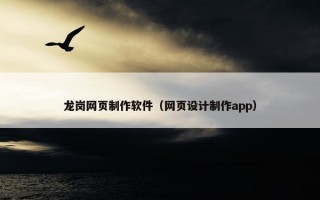 龙岗网页制作软件（网页设计制作app）