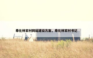 奉化林家村网站建设方案，奉化林家村书记