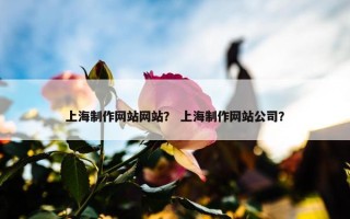 上海制作网站网站？ 上海制作网站公司？