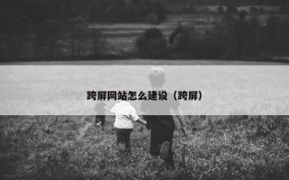 跨屏网站怎么建设（跨屏）
