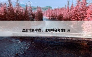 注册域名考虑，注册域名考虑什么