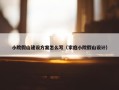 小院假山建设方案怎么写（家庭小院假山设计）