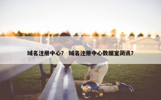 域名注册中心？ 域名注册中心数据室简讯？