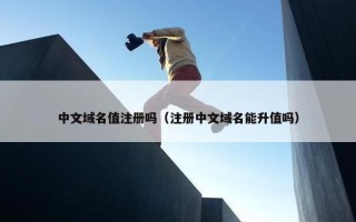 中文域名值注册吗（注册中文域名能升值吗）