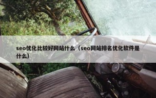 seo优化比较好网站什么（seo网站排名优化软件是什么）