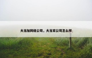 大当加网络公司，大当家公司怎么样