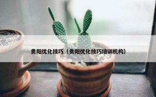 贵阳优化技巧（贵阳优化技巧培训机构）