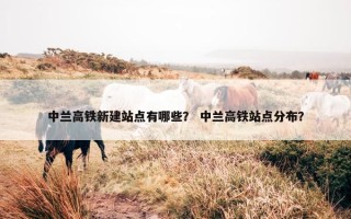 中兰高铁新建站点有哪些？ 中兰高铁站点分布？