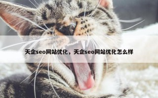 天企seo网站优化，天企seo网站优化怎么样