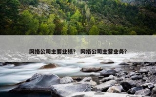 网络公司主要业绩？ 网络公司主营业务？