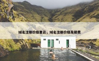 域名注册价格里云，域名注册价格及续费