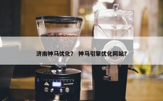 济南神马优化？ 神马引擎优化网站？