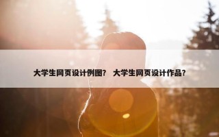 大学生网页设计例图？ 大学生网页设计作品？