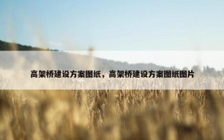 高架桥建设方案图纸，高架桥建设方案图纸图片