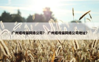 广州嬉戏猫网络公司？ 广州嬉戏猫网络公司地址？