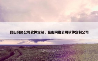 昆山网络公司软件定制，昆山网络公司软件定制公司