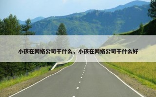 小孩在网络公司干什么，小孩在网络公司干什么好
