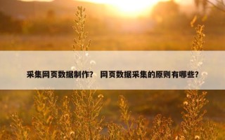 采集网页数据制作？ 网页数据采集的原则有哪些？