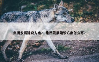 集团发展建设方案？ 集团发展建设方案怎么写？