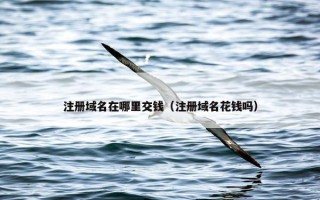 注册域名在哪里交钱（注册域名花钱吗）