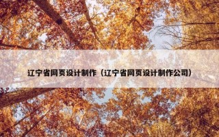辽宁省网页设计制作（辽宁省网页设计制作公司）