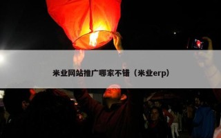 米业网站推广哪家不错（米业erp）