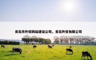 青岛市外贸网站建设公司，青岛外贸有限公司