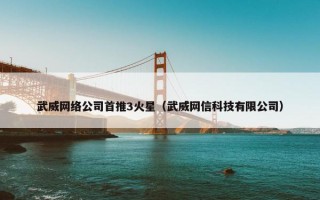 武威网络公司首推3火星（武威网信科技有限公司）