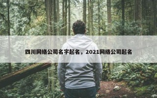 四川网络公司名字起名，2021网络公司起名