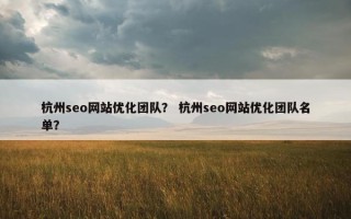 杭州seo网站优化团队？ 杭州seo网站优化团队名单？