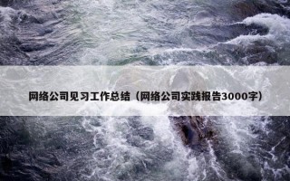 网络公司见习工作总结（网络公司实践报告3000字）