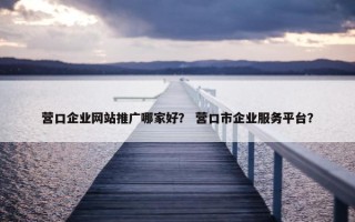 营口企业网站推广哪家好？ 营口市企业服务平台？