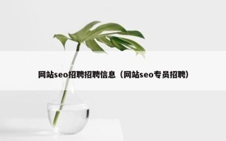 网站seo招聘招聘信息（网站seo专员招聘）