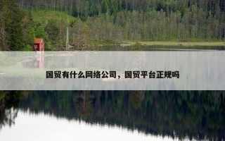 国贸有什么网络公司，国贸平台正规吗