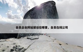 自贡企业网站建设在哪里，自贡在线公司