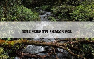 建站公司发展方向（建站公司转型）