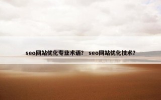 seo网站优化专业术语？ seo网站优化技术？