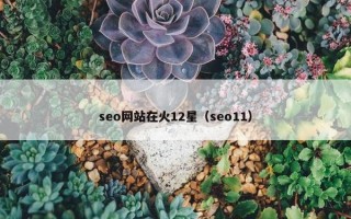 seo网站在火12星（seo11）