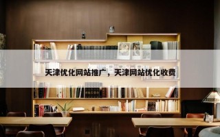 天津优化网站推广，天津网站优化收费