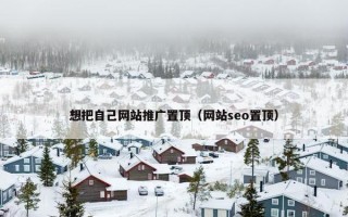 想把自己网站推广置顶（网站seo置顶）