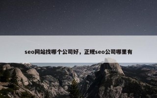seo网站找哪个公司好，正规seo公司哪里有