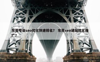 东莞专业seo优化快速排名？ 东莞seo建站优化推广？