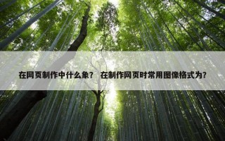 在网页制作中什么象？ 在制作网页时常用图像格式为？