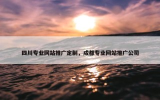 四川专业网站推广定制，成都专业网站推广公司