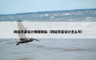 网站页面设计模板网站（网站页面设计怎么写）