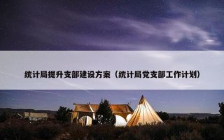 统计局提升支部建设方案（统计局党支部工作计划）