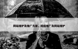 网站维护及推广方案，网络推广及网站维护